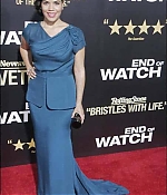 Filename=0018.jpg
Filesize=27KiB
Dimensions=452x677
Date added=Jul 13, 2022 0018.jpg