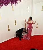 Filename=0249.jpg
Filesize=122KiB
Dimensions=2000x1334
Date added=May 04, 2024 0249.jpg