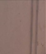 1179.jpg