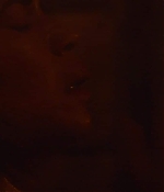 1004.jpg