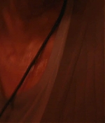Filename=1301.jpg
Filesize=27KiB
Dimensions=1918x802
Date added=Oct 19, 2025 1301.jpg